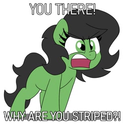 Size: 1000x1000 | Tagged: safe, artist:unitxxvii, oc, oc:filly anon, dialogue, earth pony, eyebrows, eyebrows visible through hair, female, filly, foal, implied zebra, imported from derpibooru, oc only, open mouth, pony, racism, simple background, solo, text, white background, yelling