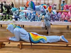 Size: 4000x3000 | Tagged: safe, pinkie pie, rainbow dash, oc, oc:filly anon, 2026, artist needed, clothes, costume, czequestria, female, filly, foal, g4, human, imported from derpibooru, indoors, irl, irl human, kigurumi, mistmane, onesie, photo, plushie