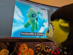Size: 4080x3072 | Tagged: safe, oc, oc:adventurefilly, oc:filly anon, oc:frankenfilly, oc:fun raiser, oc:matinee, oc:soiree, female, filly, foal, imported from derpibooru, oc only, photo, plushie