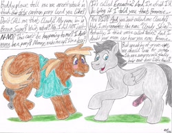 Size: 4390x3385 | Tagged: explicit, artist:bluegreen369, oc, oc:brown sugar, oc:cloudy skies, alternate version, balls, blank flank, blue eyes, blushing, bottomless, brown coat, brown mane, casual nudity, clothes, colt, derpibooru exclusive, dialogue, duo, duo male, ears back, earth pony, earth pony oc, erection, eyebrows, eyebrows visible through hair, foal, foalcon, folded wings, g4, genitals, grass, gray coat, gray mane, gritted teeth, horsecock, human to pony, imported from derpibooru, loose fitting clothes, male, males only, not button mash, not rumble, nudity, oc only, partial nudity, pegasus, pegasus oc, penis, pony, post-transformation, purple eyes, raised hoof, scared, shirt, simple background, smiling, teeth, transformation, varying degrees of want, wavy mouth, white background, wings
