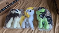 Size: 4000x2252 | Tagged: safe, oc, oc:aryanne, oc:filly anon, oc:frosty flakes, female, filly, foal, imported from derpibooru, irl, oc only, photo, plushie, trio, yakutian horse