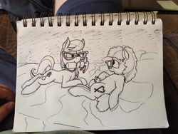 Size: 4080x3072 | Tagged: questionable, artist:thebathwaterhero, silver spoon, duo, duo female, female, females only, foalcon, food, g4, imminent sex, imported from derpibooru, lesbian, looking at each other, looking at someone, monochrome, open mouth, open smile, outdoors, smiling, twist, whipped cream