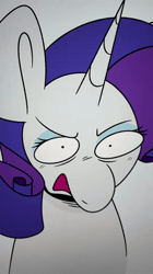 Size: 1080x1920 | Tagged: safe, artist:crookedbeetles, diamond tiara, rarity, silver spoon, oc, animated, bipedal, bucket, cashier, clothes, coin, earth pony, editorial cutie mark, female, filly, foal, g4, glasses, gun, hoers, horn, human facial structure, imported from derpibooru, jewelry, labubu, laughing, laundry, machine gun, mare, minigun, mop, necklace, palestine, pig, pony, shop, sound, suddenly hands, tiara, turntable, underwear, unicorn, vulgar, washing machine, weapon, webm