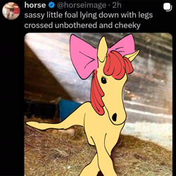 Size: 2023x2022 | Tagged: safe, artist:gumbatsarelowkfunky, apple bloom, adorabloom, bow, cute, female, filly, foal, g4, hair bow, hoers, horse, imported from derpibooru, looking at you, lying down, pink bow, ponified, ponified animal photo, ponified horse photo, prone foal redraw meme, solo, text, twitter screencap
