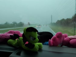 Size: 3264x2448 | Tagged: safe, oc, oc:filly anon, braid, car, female, filly, foal, imported from derpibooru, indoors, irl, lying down, oc only, photo, plushie, prone, rain, road, vehicle, window