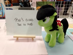 Size: 3264x2448 | Tagged: safe, oc, oc:filly anon, bow, female, filly, foal, hair bow, imported from derpibooru, oc only, photo, plushie