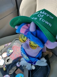 Size: 1536x2048 | Tagged: safe, artist:jargon scott, twilight sparkle, 4chan cup scarf, car, clothes, cool s, female, filly, filly twilight sparkle, foal, g4, horn, imported from derpibooru, irl, photo, plushie, pony, scarf, solo, squatpony, sunglasses, trucker hat, twiggie, unicorn, unicorn twilight, vehicle, younger
