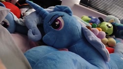 Size: 1600x900 | Tagged: safe, oc, oc:filly anon, female, filly, foal, g4, horn, imported from derpibooru, indoors, photo, pony, trixie, unicorn