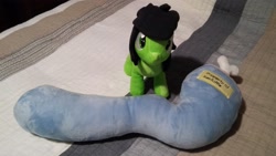 Size: 3264x1836 | Tagged: safe, oc, oc:filly anon, female, filly, foal, g4, imported from derpibooru, irl, kerfuffle, leg, oc only, photo, plushie, severed leg, severed limb