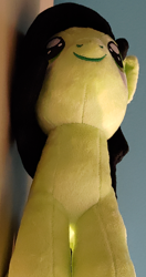 Size: 1135x2151 | Tagged: safe, oc, oc:filly anon, female, filly, foal, imported from derpibooru, irl, oc only, photo, plushie