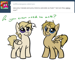 Size: 1280x1024 | Tagged: safe, artist:askponyiggy-blog, 2013, america (hetalia), ask, blank flank, canada (hetalia), colt, dialogue, duo, duo male, feathered wings, foal, hetalia, imported from derpibooru, male, nation ponies, pegasus, pegasus wings, ponified, pony, ponytalia, quadrupedal, question mark, simple background, smiling, transparent background, wings