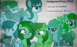 Size: 3643x2228 | Tagged: safe, artist:oumirot, series:oumirot series too many ponies, female, filly, filly medley, foal, g1, g1 to g4, g4, generation leap, imported from derpibooru, medley, pegasus, photo, picture of a screen, pony, spring melody, sprinkle medley