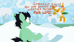 Size: 1920x1080 | Tagged: safe, oc, oc:colt anon, angry, anonymous artist, banned, bipedal, cloud, cloudy, colt, dialogue, duo, duo male, earth pony, flying, foal, g4, hole, imported from derpibooru, lineless, looking at each other, looking at someone, male, messy mane, messy tail, oc only, open mouth, outdoors, pegasus, pony, ponyville, shaking hoof, shocked, snow, snowfall, stallion, tail, weather factory uniform