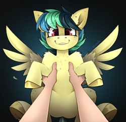 Size: 4979x4824 | Tagged: safe, artist:buvanybu, oc, oc:apogee, chest fluff, commission, duo, ear freckles, featureless crotch, female, filly, foal, freckles, holding a pony, human, human pov, human shoulders, imported from derpibooru, looking at you, oc only, offscreen character, offscreen human, pegasus, pony, pov, smiling, smiling at you, solo focus, spread wings, tail, wings