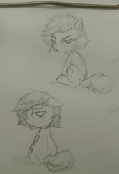 Size: 1368x1999 | Tagged: safe, artist:bagegale, oc, oc:filly anon, earth pony, female, filly, foal, imported from derpibooru, oc only, pony, simple background, sitting, solo, traditional art
