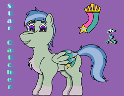 Size: 2675x2080 | Tagged: safe, artist:puffydearlysmith, oc, oc:star catcher, chest fluff, coat markings, colored wings, colt, cutie mark, foal, g5, g5 oc, high res, imported from derpibooru, looking at you, male, oc only, offspring, parent:hitch trailblazer, parent:zipp storm, parents:stormblazer, pegasus, pegasus oc, pony, purple background, reference sheet, simple background, smiling, smiling at you, socks (coat markings), solo, wings