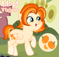Size: 1280x1242 | Tagged: safe, artist:vi45, oc, adoptable, chubby, female, filly, foal, imported from derpibooru, oc only, orange mane, pegasus, pony, quadrupedal, solo, standing on two hooves, three toned mane