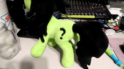 Size: 1280x720 | Tagged: safe, oc, oc:filly anon, animated, butt shake, female, filly, foal, imported from derpibooru, irl, oc only, photo, plushie, video, webm