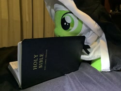 Size: 1280x960 | Tagged: safe, oc, oc:filly anon, bed, bible, blanket, christianity, female, filly, foal, habit, imported from derpibooru, irl, nun, nun outfit, oc only, photo, plushie, reading, religion