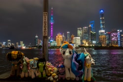 Size: 3500x2333 | Tagged: safe, fluttershy, princess celestia, princess luna, twilight sparkle, oc, oc:filly anon, city, cityscape, clothes, derpy hooves, female, filly, foal, g3, g4, hat, imported from derpibooru, irl, kirin, legwear, minty, night, outdoors, overcast, photo, photography, plushie, pony, pony plushie, twiggie, water