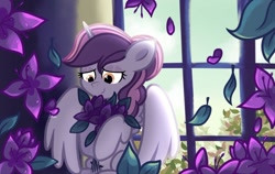Size: 1280x807 | Tagged: safe, artist:mvpunicornboom, oc, oc:sweetieck dreams, alicorn, cute, eyelashes, female, filly, floppy ears, foal, g4, hooves, horn, imported from derpibooru, mare, not sweetie belle, oc only, outdoors, pinpoint eyes, pony, smiling, teenager, two toned mane, unicorn horn, wings