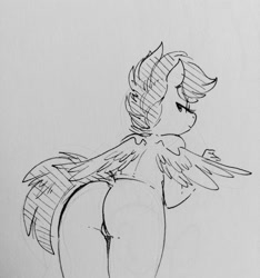 Size: 1196x1280 | Tagged: explicit, artist:glacierclear, scootaloo, anthro, ass, banned from derpibooru, butt, dock, female, imported from twibooru, lolicon, looking at you, looking back, monochrome, nudity, sketch, solo, solo female, traditional art, underage, vagina