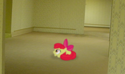 Size: 342x203 | Tagged: safe, artist:abbleploom, apple bloom, blurry, earth pony, female, filly, foal, g4, imported from derpibooru, irl, low effort, photo, picture for breezies, ponies in real life, pony, the backrooms