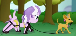 Size: 1454x704 | Tagged: suggestive, artist:ohohokapi, diamond tiara, all fours, banned from derpibooru, bdsm, bitchsuit, bondage, bra, chihuahua, clothes, collar, dog, equestria girls, frilly underwear, humiliation, imported from twibooru, leash, lolicon, panties, pet play, public humiliation, role reversal, smiling, underage, underwear