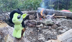 Size: 3813x2251 | Tagged: safe, artist:symbiotestudios, oc, oc:filly anon, female, filly, foal, imported from derpibooru, irl, oc only, outdoors, photo, plushie, pony