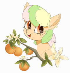 Size: 1909x1990 | Tagged: safe, artist:lillslim, oc, oc:gelato, bust, earth pony, earth pony oc, female, filly, filly oc, flower, foal, food, imported from derpibooru, multicolored hair, multicolored mane, oc only, open mouth, orange, pony, portrait, tree branch