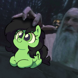 Size: 716x716 | Tagged: safe, artist:talimingi, oc, oc:filly anon, :t, duo, earth pony, female, filly, foal, human, human male, imported from derpibooru, irl, lord of the rings, lying down, male, meme, nose wrinkle, photo, ponies in real life, pony, ponyloaf, prone, saruman, scrunchy face, smiling, solo focus