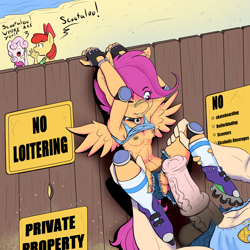 Size: 2300x2300 | Tagged: explicit, artist:poprocks, apple bloom, scootaloo, sweetie belle, age difference, anthro, armpits, bandage, banned from derpibooru, beach, bimbo, breasts, clothed sex, clothes, collar, crotchless pants, cutie mark crusaders, delicious flat chest, earth pony, edit, exhibitionism, exposed breasts, female, g4, horsecock, hotdogging, imported from twibooru, impossible fit, loli prostitute, lolicon, male, nipple piercing, nipples, nudity, outdoors, pegasus, penis, piercing, prostitute, prostitution, public sex, rollerblades, rubbing, scootaflat, sex, sex on the beach, shirt, shirt lift, size difference, stallion on filly, stealth sex, straight, sweat, thrill of almost being caught, underage, unicorn, vagina, vaginal secretions, well endowed stallion