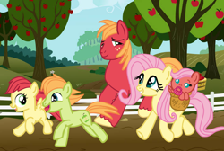 Size: 1024x687 | Tagged: safe, artist:marianaart03, fluttershy, oc, oc:apple brandy, oc:apple core, oc:honey posey, apple, apple tree, baby, baby pony, base used, basket, big macintosh, colt, earth pony, family, female, fence, filly, foal, g4, grin, group, imported from derpibooru, looking at each other, looking at someone, male, mare, needs more jpeg, offspring, open mouth, open smile, orchard, outdoors, pacifier, parent:big macintosh, parent:fluttershy, parents:fluttermac, pegasus, pony, quintet, running, ship:fluttermac, shipping, siblings, smiling, smiling at each other, stallion, straight, tree