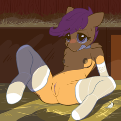 Size: 1000x1000 | Tagged: explicit, artist:pashoo, scootaloo, anthro, banned from derpibooru, belly button, blushing, breasts, clothes, edit, evening gloves, feather, female, gloves, hair, hay, heart, imported from twibooru, lolicon, long gloves, nipples, nudity, see-through, socks, solo, solo female, spread legs, spreading, sweat, thigh highs, underage, vulva, wings