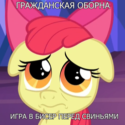 Size: 584x587 | Tagged: safe, artist:damset, apple bloom, adorabloom, begging, cropped, cute, cyrillic, earth pony, edit, edited screencap, faic, female, filly, floppy ears, foal, frown, g4, grazhdanskaya oborona, growing up is hard to do, imported from derpibooru, my little pony: friendship is magic, parody, pony, pouting, pouty lips, puppy dog eyes, russian, sad, screencap, solo