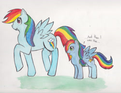 Size: 6600x5100 | Tagged: safe, artist:moondreamwarrior, rainbow dash, oc, oc:nova, female, filly, foal, g4, imported from derpibooru, mare, mother and child, mother and daughter, offspring, parent:rainbow dash, parent:soarin', parents:soarindash, pegasus, pony, traditional art