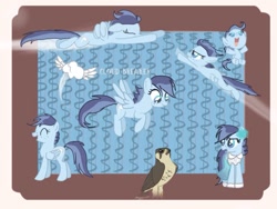 Size: 1024x768 | Tagged: safe, artist:starliechaser, oc, oc:cloud breaker, baby, baby pony, female, filly, foal, imported from derpibooru, mare, offspring, parent:rainbow dash, parent:soarin', parents:soarindash, pegasus, pony