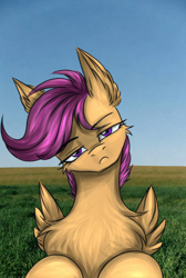 Size: 735x1095 | Tagged: safe, artist:darklight1315, scootaloo, chest fluff, derpibooru exclusive, ear fluff, female, filly, foal, frown, g4, grass, grass field, head tilt, imported from derpibooru, liminal space, looking at you, narrowed eyes, outdoors, pegasus, pony, solo