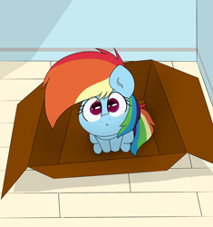 Size: 1877x2000 | Tagged: safe, artist:harpony, rainbow dash, fanfic:my little dashie, :<, box, cute, dashabetes, derpibooru exclusive, eye clipping through hair, female, filly, filly rainbow dash, foal, frown, g4, high angle, if i fits i sits, imported from derpibooru, indoors, looking up, pegasus, pony, pony in a box, sitting, smol, solo, younger
