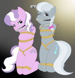 Size: 1489x1548 | Tagged: explicit, artist:lord waite, artist:ryuseihikari, diamond tiara, silver spoon, anthro, banned from derpibooru, belly button, bit gag, bondage, bound, braid, breast bondage, breasts, chain, collar, colored, crotch rope, female, females only, gag, imported from twibooru, kneeling, lolicon, nipples, nudity, rope, small breasts, underage