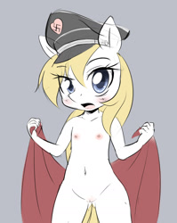 Size: 1405x1764 | Tagged: explicit, artist:randy, oc, oc:aryanne, anthro, banned from derpibooru, belly button, blushing, breasts, delicious flat chest, female, flag, hat, heart (organ), imported from twibooru, le lenny face, lolicon, national socialism, nipples, nudity, open mouth, organs, solo, solo female, swastika, underage, vulva