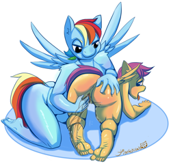 Size: 1000x961 | Tagged: explicit, artist:tigerfestivals, rainbow dash, scootaloo, age difference, anthro, ass, banned from derpibooru, barefoot, bent over, blushing, butt, feet, female, fingering, imported from twibooru, lesbian, lolicon, mare on filly, nudity, plantigrade anthro, scootadash, sex, shipping, size difference, squirting, underage, vagina, vaginal secretions, vulva, wet, wings