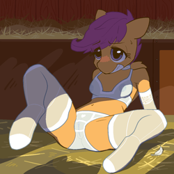Size: 1000x1000 | Tagged: explicit, artist:pashoo, scootaloo, anthro, banned from derpibooru, belly button, blushing, bra, breasts, clothes, edit, evening gloves, feather, female, gloves, hair, hay, heart, heart print underwear, imported from twibooru, inside, lolicon, long gloves, nipples, nudity, panties, see-through, socks, solo, solo female, spread legs, spreading, sweat, thigh highs, underage, underwear, vulva, white underwear, wings