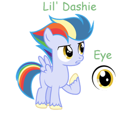 Size: 1024x966 | Tagged: safe, artist:brooklynsentryyt, oc, oc:li'l dashie, colt, foal, imported from derpibooru, male, offspring, parent:rainbow dash, parent:soarin', parents:soarindash, pegasus, pony