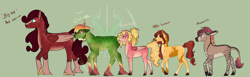 Size: 6241x1919 | Tagged: safe, artist:zevanthdragoness, oc, oc:apple butter, oc:big red, oc:crab apple, oc:maverick, oc:primrose, adopted offspring, coat markings, donkey, earth pony, fangs, female, filly, foal, fraternal twins, freckles, glasses, green background, hybrid, imported from derpibooru, looking at you, male, mare, obtrusive watermark, oc only, offspring, parent:big macintosh, parent:fluttershy, parents:fluttermac, pegasus, pony, siblings, signature, simple background, smiling, smiling at you, socks (coat markings), stallion, watermark, zebra, zebroid, zonkey