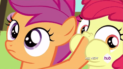 Size: 960x540 | Tagged: safe, apple bloom, scootaloo, all new, animated, close-up, duo, earth pony, female, filly, foal, g4, gif, hoof over mouth, hub logo, imported from derpibooru, logo, my little pony: friendship is magic, no time for a song, pegasus, pony, screencap, season 4, somepony to watch over me, text, the hub