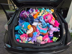 Size: 4000x3000 | Tagged: safe, pinkie pie, princess celestia, princess luna, twilight sparkle, oc, oc:fair flyer, oc:filly anon, oc:matinee, oc:morning mimosa, oc:soiree, alicorn, artist needed, autumn blaze, car, derpy hooves, earth pony, female, filly, foal, g4, g5, horn, imported from derpibooru, irl, izzy moonbow, kirin, minuette, misty brightdawn, pegasus, photo, plushie, poland, pony, trunk, twiggie, unicorn, vehicle