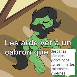 Size: 1100x1100 | Tagged: safe, artist:unitxxvii, oc, oc:filly anon, earth pony, eyes closed, female, filly, floppy ears, foal, imported from derpibooru, lying down, oc only, on side, outdoors, overhead view, pony, smiling, solo, spanish, unemployment
