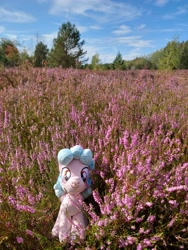 Size: 3468x4624 | Tagged: safe, cloud, cozy glow, cozybetes, cute, female, field, filly, flower, flower field, foal, g4, imported from derpibooru, irl, outdoors, pegasus, photo, plant, plushie, pony, pony plushie, sky, solo, symbiote studios