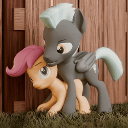 Size: 1080x1080 | Tagged: explicit, artist:tale56, scootaloo, 3d, 3d model, age difference, animated, anus, black coat, blender, blender cycles, doggy style, female, filly, foal, foalcon, folded wings, from behind, g4, genitals, imported from derpibooru, male, no sound, nudity, orange coat, pegasus, penetration, penis, ponut, pony, purple hair, sex, ship:scootalane, shipping, source filmmaker, stallion, stallion on filly, straight, tail, tail wag, thunderlane, vaginal, vulva, webm, wings